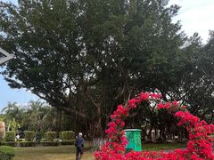 -万绿园