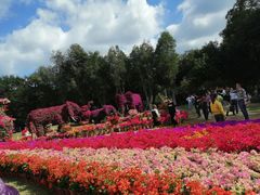 -东南花都花博园