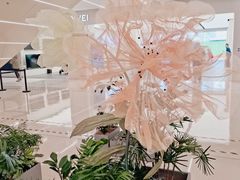 -凯德MALL(望京店)