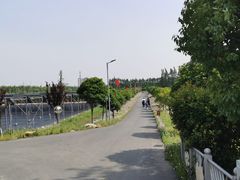 -上海长兴岛郊野公园