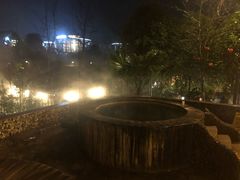 -中铁花水湾温泉酒店(大邑店)