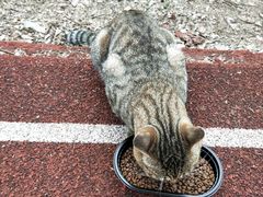 -南京理工大学紫金学院