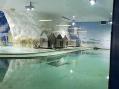 -北戴河圣蓝海洋公园