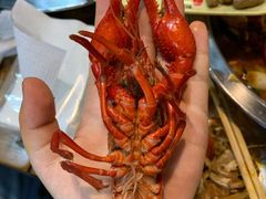 精品大龙虾-毛哥小馆子(百井坊巷店)