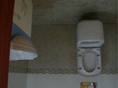 -金山农民画村-枫泾波兰倒置屋
