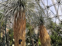 -北京植物园-展览温室