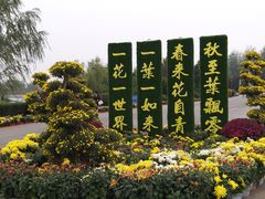 -南海禅寺