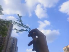 -南昌动物园
