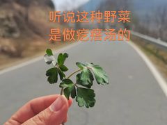 -阳台山自然风景区