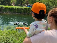 -长白岛森林公园