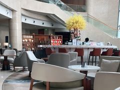 大堂-Plush大堂酒廊(北京金融街威斯汀大酒店)