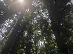 -上海虹桥迎宾馆