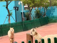 -无锡动物园·太湖欢乐园