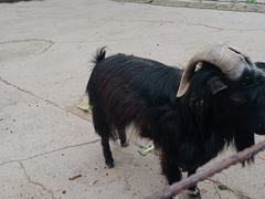 -祥源·阜阳生态乐园