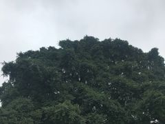 -船政文化景区-罗星塔公园