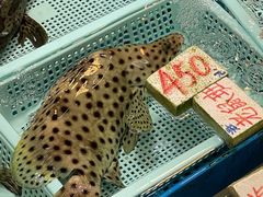 -元朗政府合署暨大桥街市