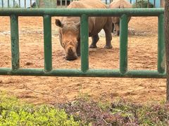 -秦皇岛野生动物园