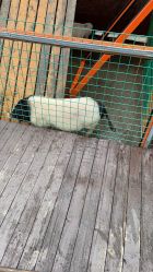 -小蜜蜂农场(凯德七宝购物广场店)
