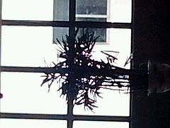 -苏州市相城人民医院