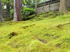 -西芳寺(苔寺)