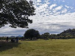 -风云岭森林公园