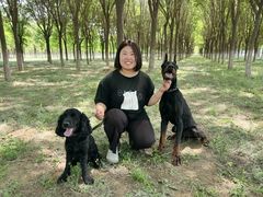 -北京京卫宠物寄养训练中心