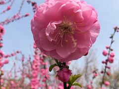 -太阳宫公园
