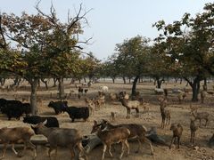 -西安秦岭野生动物园