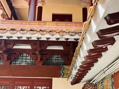 -深圳仙湖植物园
