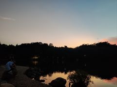 -深圳仙湖植物园