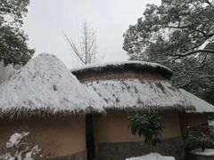 -天怡·鱼工厂(梅溪湖店)