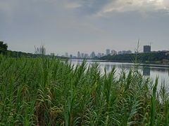 -南宁南湖公园