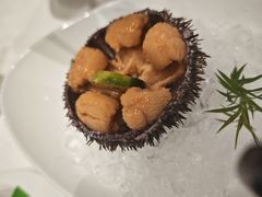 -品海楼·大连海胆锅贴馆(东港店)