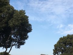 -昆山城市生态森林公园