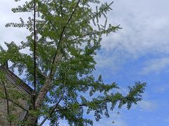 -回龙窝历史文化街区