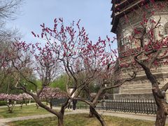 -玲珑塔公园