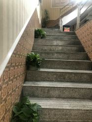 -名发世家烫染