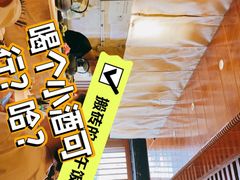 -昊·来了寿司(泡桐树店)