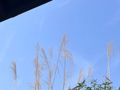 -云碧峰国家森林公园