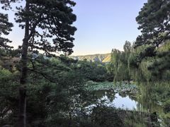 -香山公园