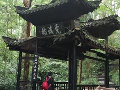 -峨眉山报国寺