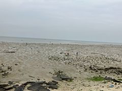 -北海金海湾红树林生态旅游区