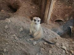 -西安秦岭野生动物园