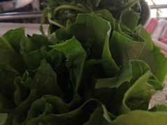 -鼎尚鲜斑鱼莊(新天润店)