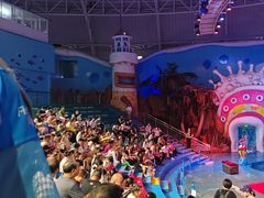 -烟台海昌鲸鲨海洋公园