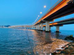 -星海湾跨海大桥