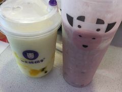 -一只酸奶牛(八一路店)