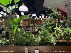 -半秋山西餐厅(巴南万达广场店)