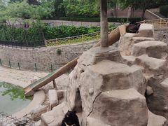 -石家庄市动物园