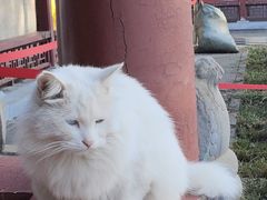 -北京石刻艺术博物馆(五塔寺)